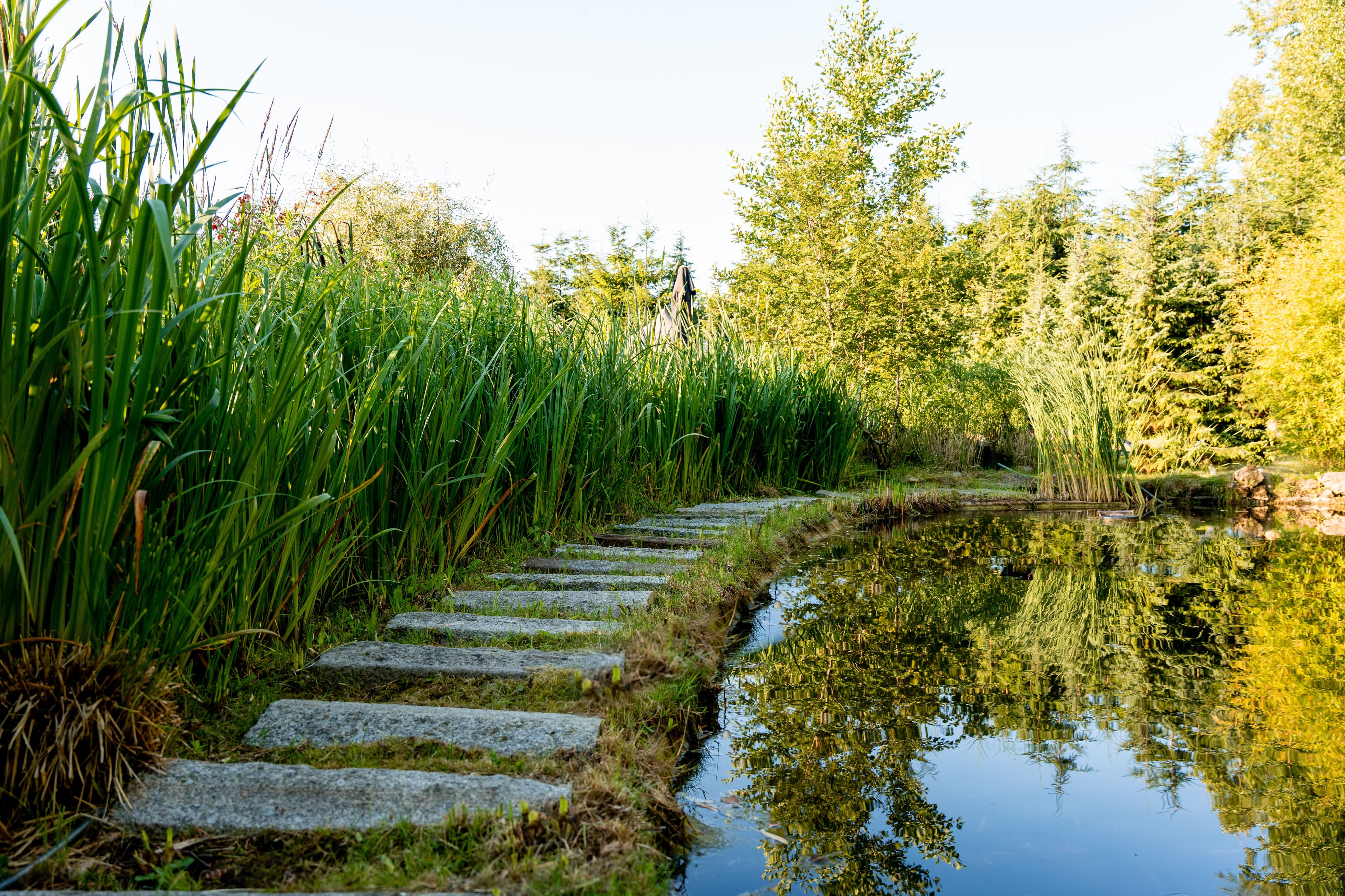 Wandelpad naast een serene vijver in de rustige tuinen van Thermen Binnenmaas