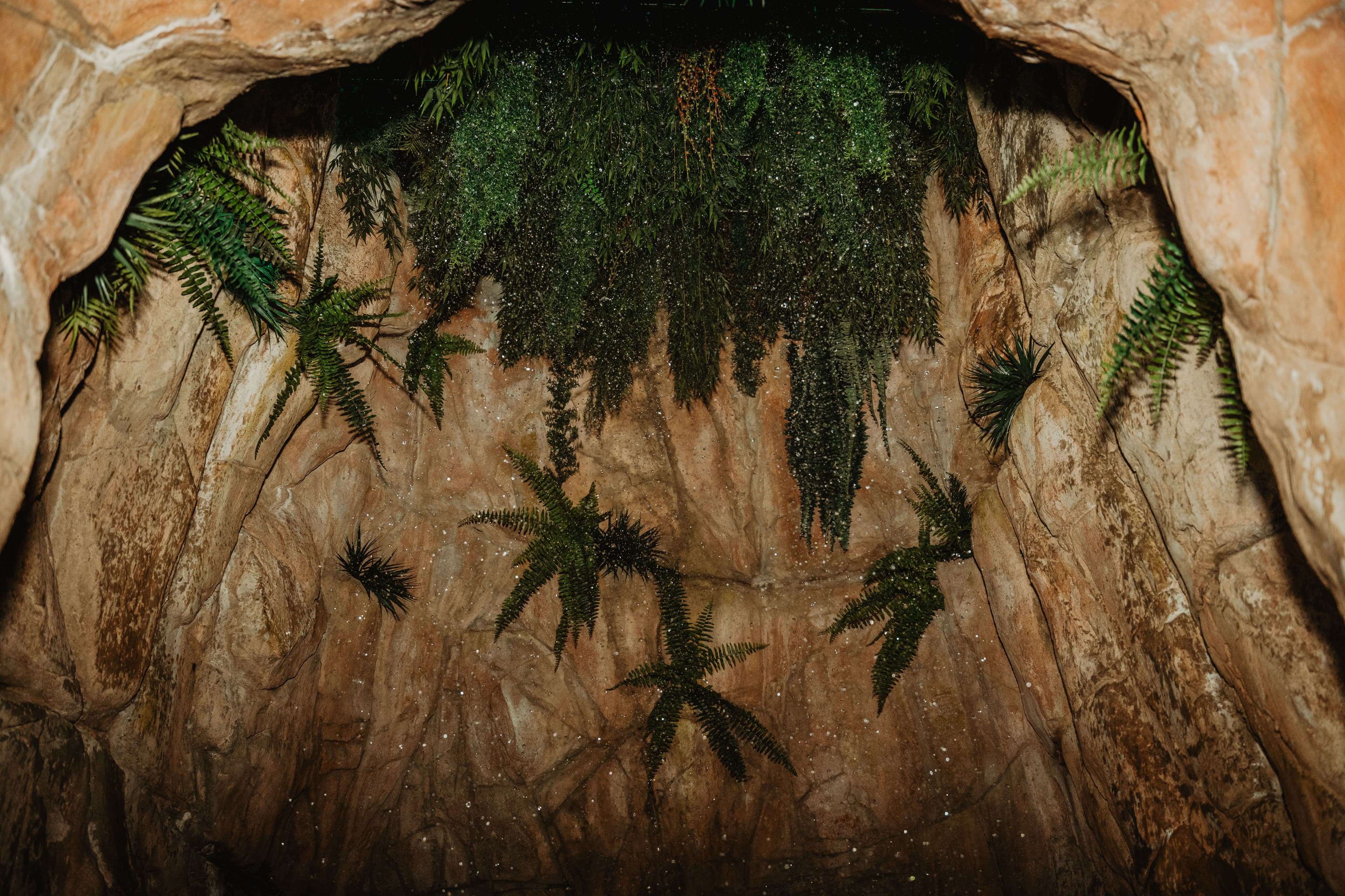Close-up van natuurlijke rotswand met hangende planten in de sauna